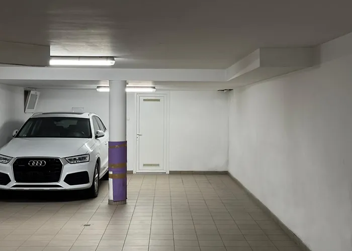 Luxury Penthouse On Rosehill With Free Garage Βουδαπέστη