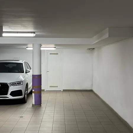 Luxury Penthouse On Rosehill With Free Garage Budapest